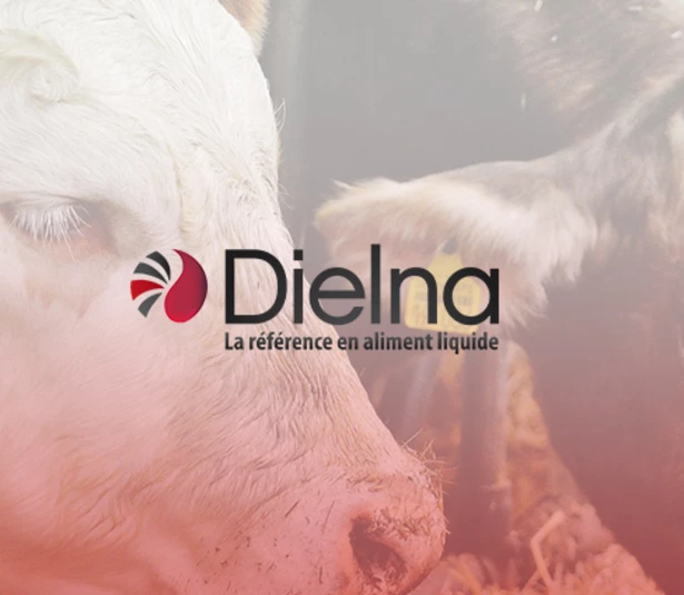 Dielna