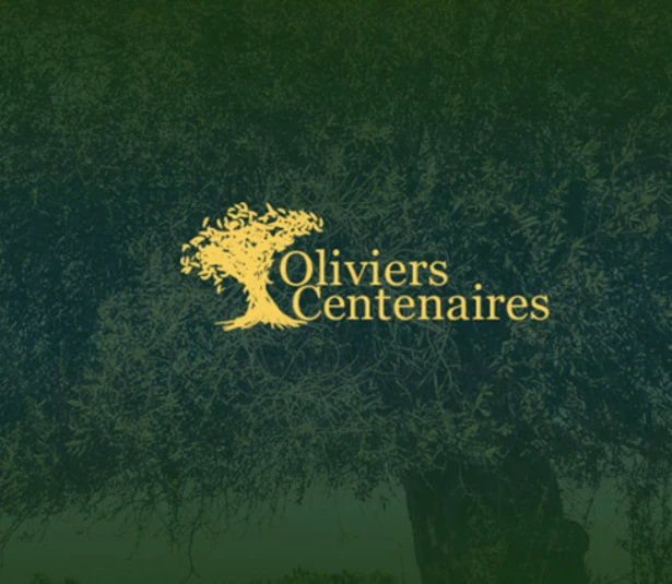 Oliviers Centenaires