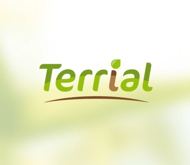 Terrial
