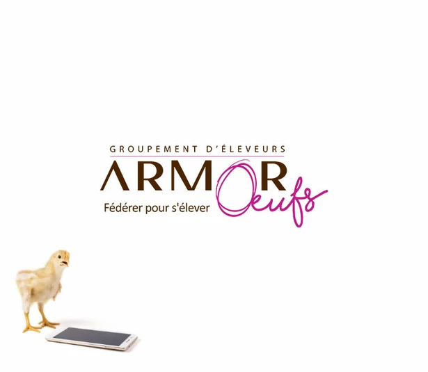 Armor Oeufs