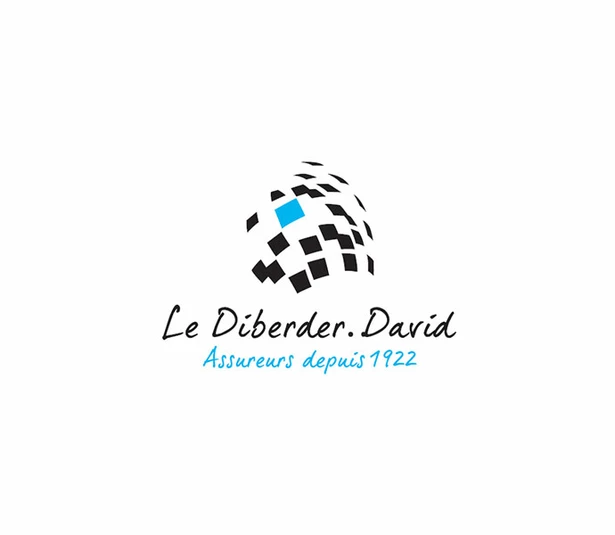 Le Diberder David